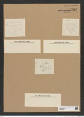 Diatomeae indet. Zeichnungen Sammlung Grunow Nr. 7554 (NHMW-BOT-W0376697)